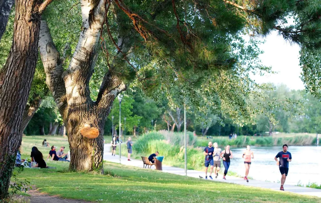 coureurs ile barthelasse avignon