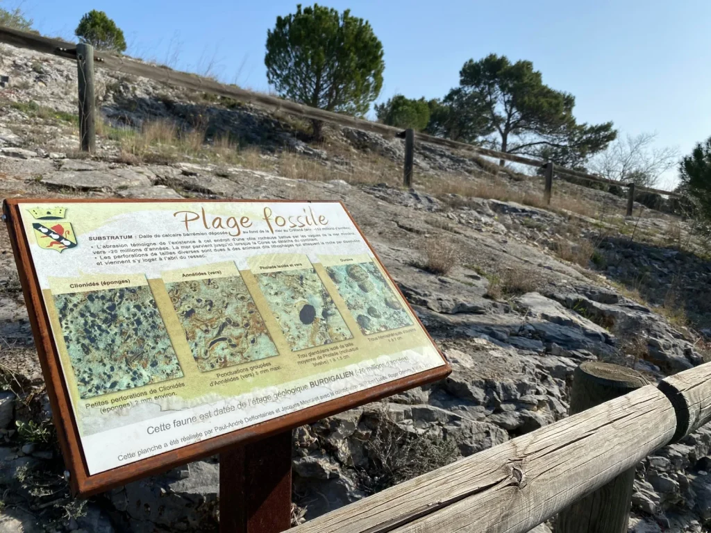 plage fossile caumont-sur-durance