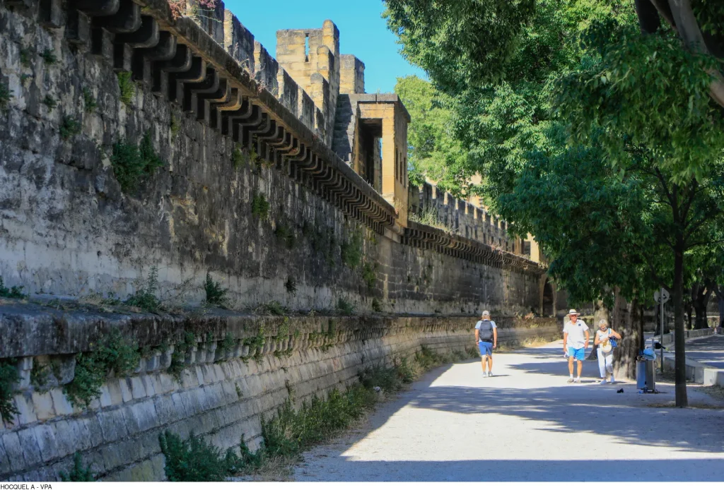 remparts avignon