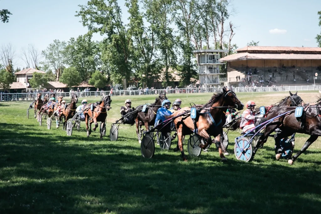 courses hippodrome roberty le pontet