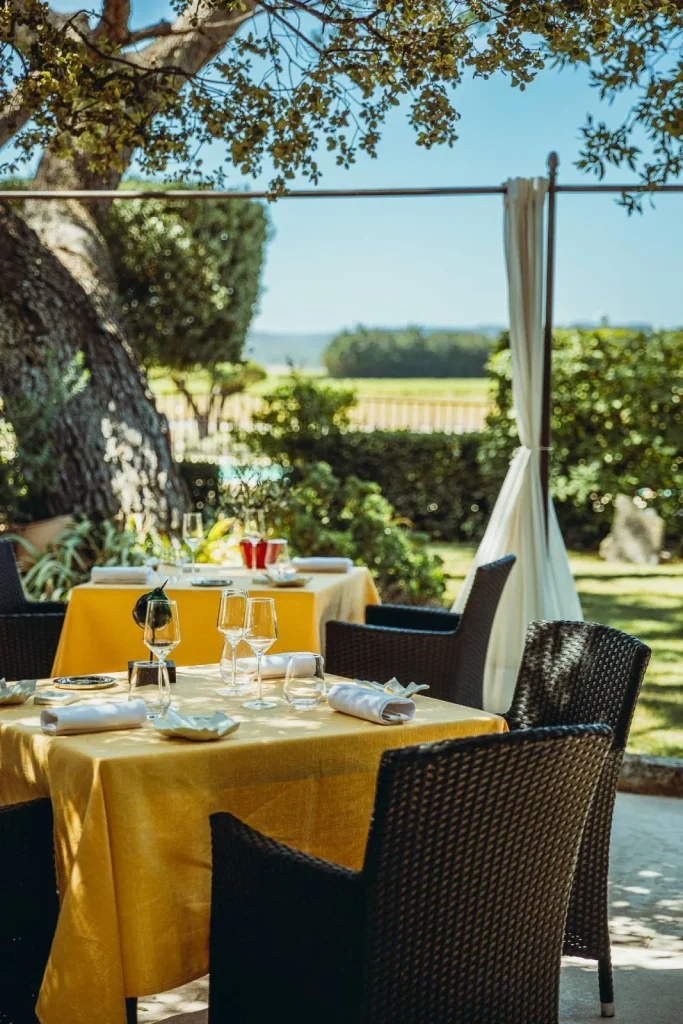 Entre vigne et garrigue Pujaut