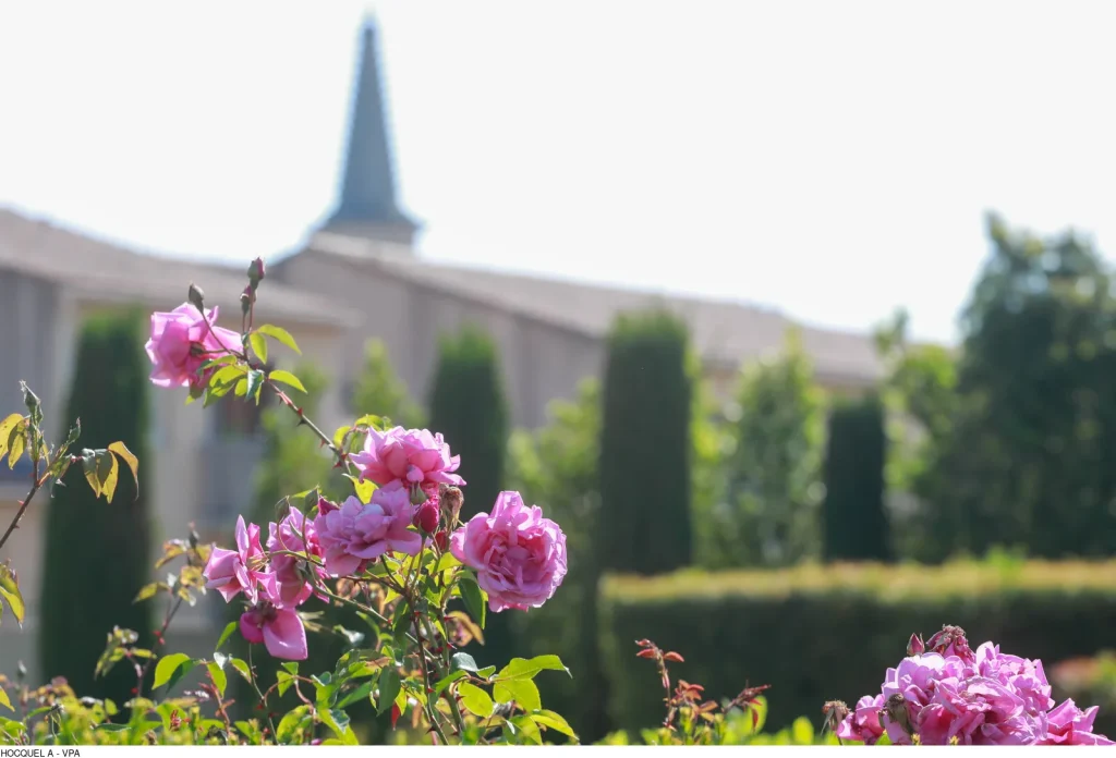 fleurs jardin romain caumont-sur-durance