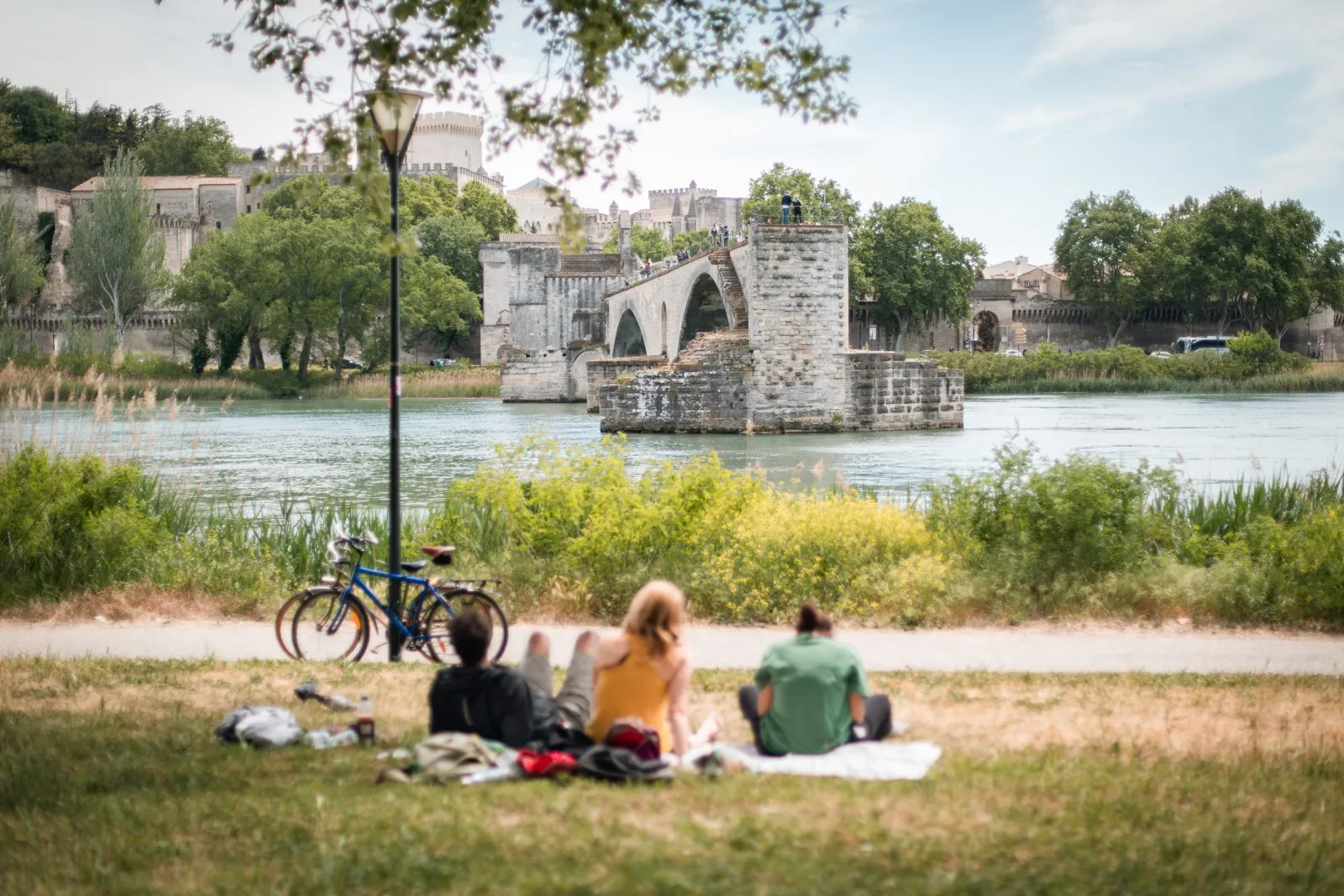 ile barthelasse avignon