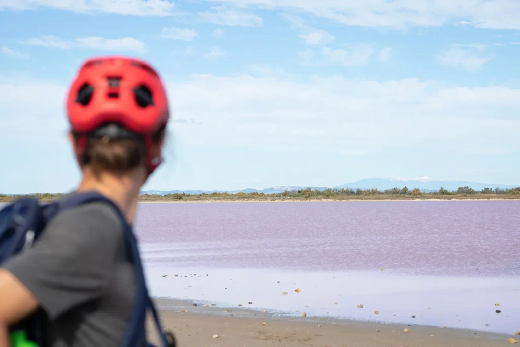 Aventure vélo en Camargue