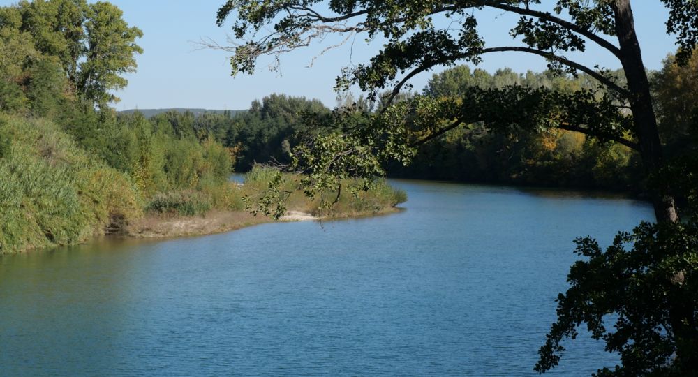 BAIGNADE À REMOULINS
