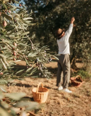 automne dans le Grand Avignon