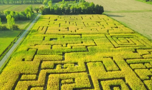 Labyrinthe des hautes herbes Entraigues sur la Sorgue