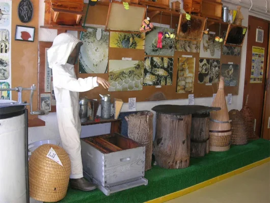 musee abeilles miellerie butineuses saint-saturnin-les-avignon