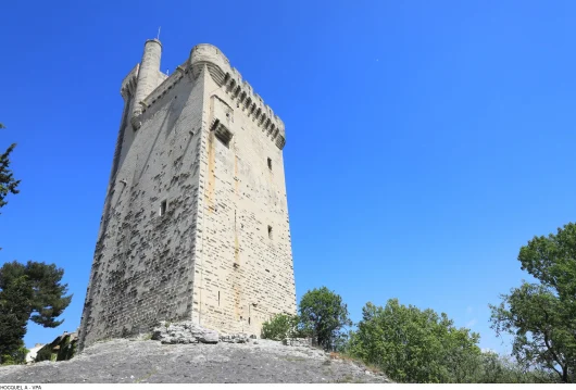 tour philippe-le-bel villeneuve lez avignon