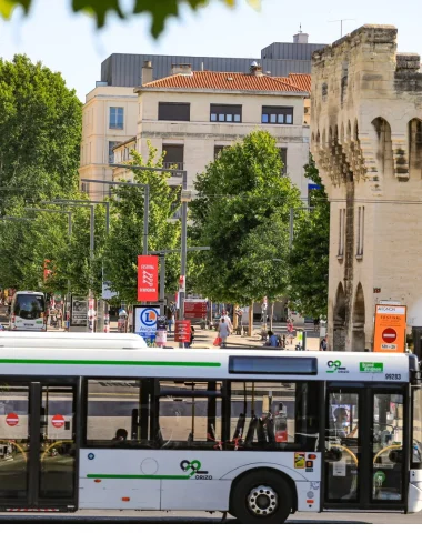 bus avignon