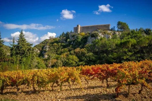 vignes rochefort-du-gard