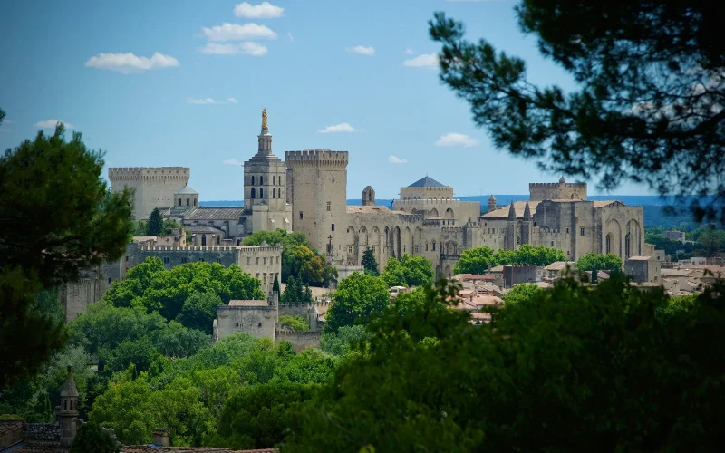 vue palais papes