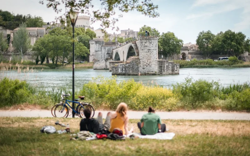 ile barthelasse avignon