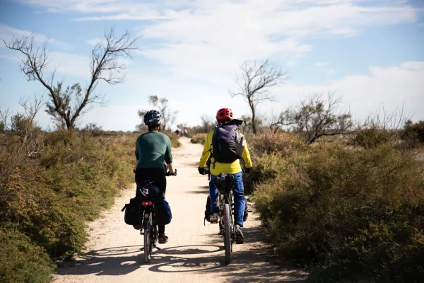 Aventure vélo en Camargue