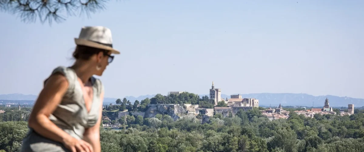 vue du fort saint andré villeneuve lez avignon