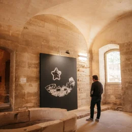 exposition villeneuve lez avignon